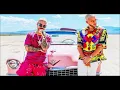 DJ Snake x J Balvin - Loco Contigo *NO Tyga* (Edited)