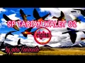 SP TARIAN WALET 02||SP WALET RESPON||SUARA WALET