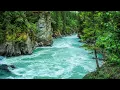 Download Lagu Monokrom Music Relaxation Live Stream - Relaxing music, stress relief, yoga, meditation, study,