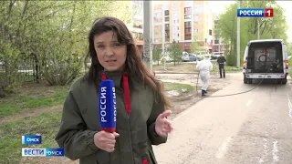 В Омске началась акарицидная обработка парков и скверов
