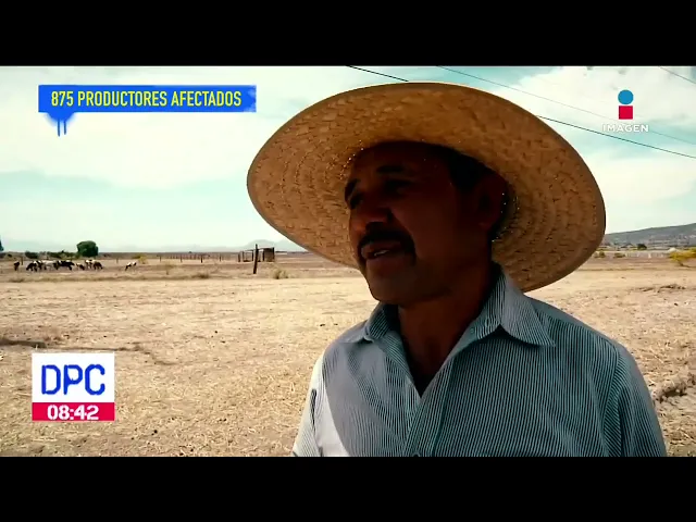 Download MP3 Sequía ha provocado pérdidas a los agricultores de Apan, Hidalgo | De Pisa y Corre
