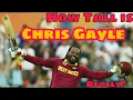 How Tall is Chris Gayle Really