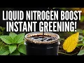 Make ORGANIC Liquid Nitrogen FAST The Trick for Explosive Green Growth Every Gardener Must Know