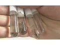 Download Lagu Febre amarela e dengue preocupam a vigilância epidemiológica de Santa Catarina