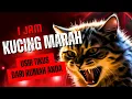 Suara Kucing 1 Jam Full Usir Tikus Dari Rumah Anda