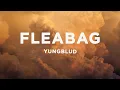 Download Lagu YUNGBLUD - fleabag (Lyrics)