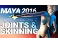MAYA CHARACTER RIGGING TUTORIAL JOINTS SKINNING