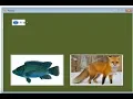 Visual Basic net How to add sounds and images in VB NET