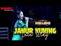 Download Lagu JANUR KUNING Lala Widy || NEW PALLAPA MIANKS PEKALONGAN #newpallapaterbaru