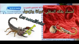 Étude D Un Texte Page 24 2AM 