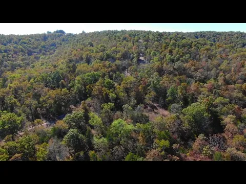 Owner Financed Land w/ Driveway & Private Site at Cave Hollow! - InstantAcres.com - ID#CH17