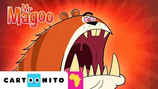 Good Dog, Bad Dog | Mr Magoo | Cartoonito Africa