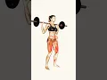 Transform Your Leg Day with the Classic Barbell Squat