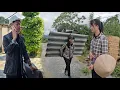 Download Lagu Tieu Nha and the people struggled through the days of super typhoon Bualoi - Terrible floods