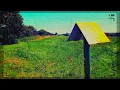 Mieczyslaw Weinberg : Chamber Symphony No.3