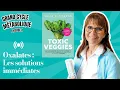 Download Lagu En direct : OXALATES : Les solutions immédiates !