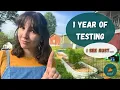 1 Year Later Metal Raised Bed Reviews Which brand held up best Vego Vegega Anleolife Kesfitt