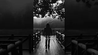 عمار حسنى عازف  عمار حسنى عازف