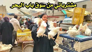 اختي السبب اشتريت فراخ من عند ابو انس وزير الغلابه واتصدمت 