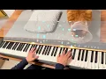 窮人的薔薇 - 陳蕾 | Rose - Panther Chan 【🎹鋼琴版 Piano Cover by Wun Piano】