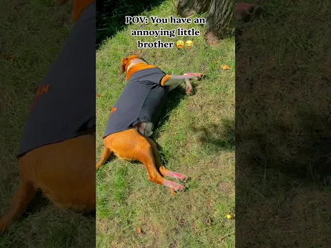 POV: Mom said I have to play with my little brother #shorts