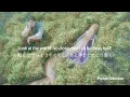 【和訳】When Will My Life Begin? (Reprise 2) / Tangled / 塔の上のラプンツェル