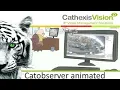 Animated Catobserver