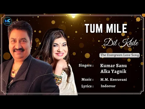 Download MP3 Tu Mile Dil Khile (Lyrics) - Kumar Sanu, Alka Yagnik | Nagarjuna | 90's Hit Romantic Love Songs