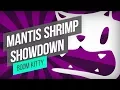 Boom Kitty - Mantis Shrimp Showdown