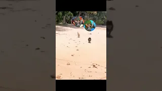 MINI MILITIA X MINI MILITIA CLASSIC Minimilitia 