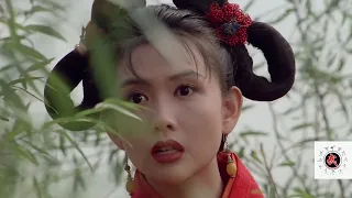 jet lis fight scenes in kung fu cult master 1