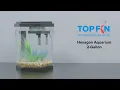 Top Fin Hexagon Fishtank 2 Gallon Setup YouTube