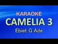 Download Lagu CAMELIA 3 - Ebiet G Ade | KARAOKE
