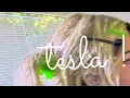 Download Lagu tesla ! (audio)-kry$talkitty