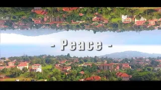 h e crazy fox peace official music video 