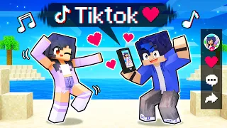 Using The TIKTOK MOD In Minecraft