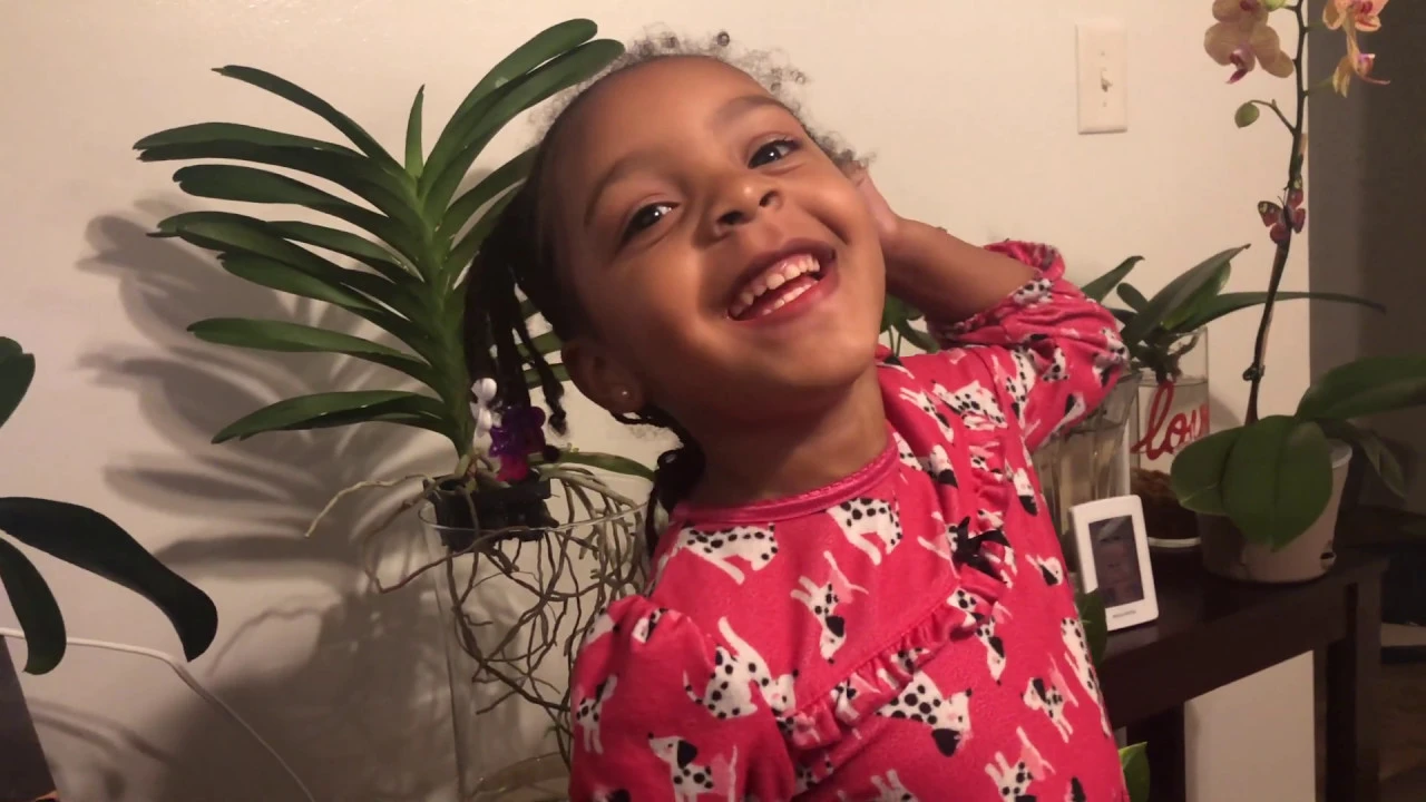 ORCHID CARE: WATER CULTURE FOR BEGINNERS