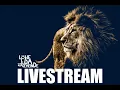 Download Lagu Revival, Befreiung, Heilung, Mi.02.07.2025