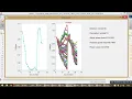 FIREWORK OPTIMIZATION ALGORITHM