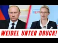 Lagu Kreml-Ansage zu Weidel: Dieses Signal erschüttert Berlin