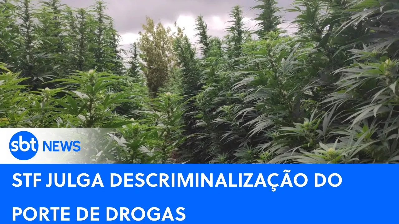 ???? SBT AO VIVO: STF julga descriminalização do porte de drogas | SBT News