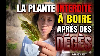 La plante qui consolide les os, interdite à boire après des décès