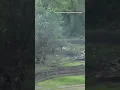 Download Lagu Video shows Russians appearing to flee Ukrainian attack near Bakhmut
