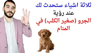 ثلاثة اشياء ستحدث لك عند رؤية الجرو في المنام   تفسير حلم رؤية الجرو والكلب الصغير في المنام دندنها
