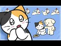 Understanding Cat Vomit Types Causes and Treatments BEMYPET s Tips