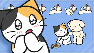Understanding Cat Vomit Types Causes and Treatments BEMYPET s Tips