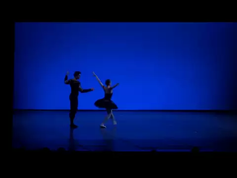 LAGO DE LOS CISNES - Pas de deux Cisne Negro - martinwullich.com