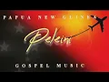 Download Lagu Peleini - Gemu Feiva Gospel 💥 PNG