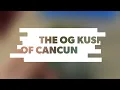 OG kush in Cancun