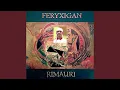 FERYXIGAN (Special Version Techno Progressive)